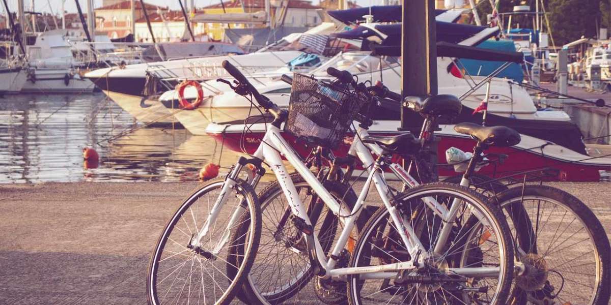 Which Bicycle Category Should You Choose? A Complete Buying Guide