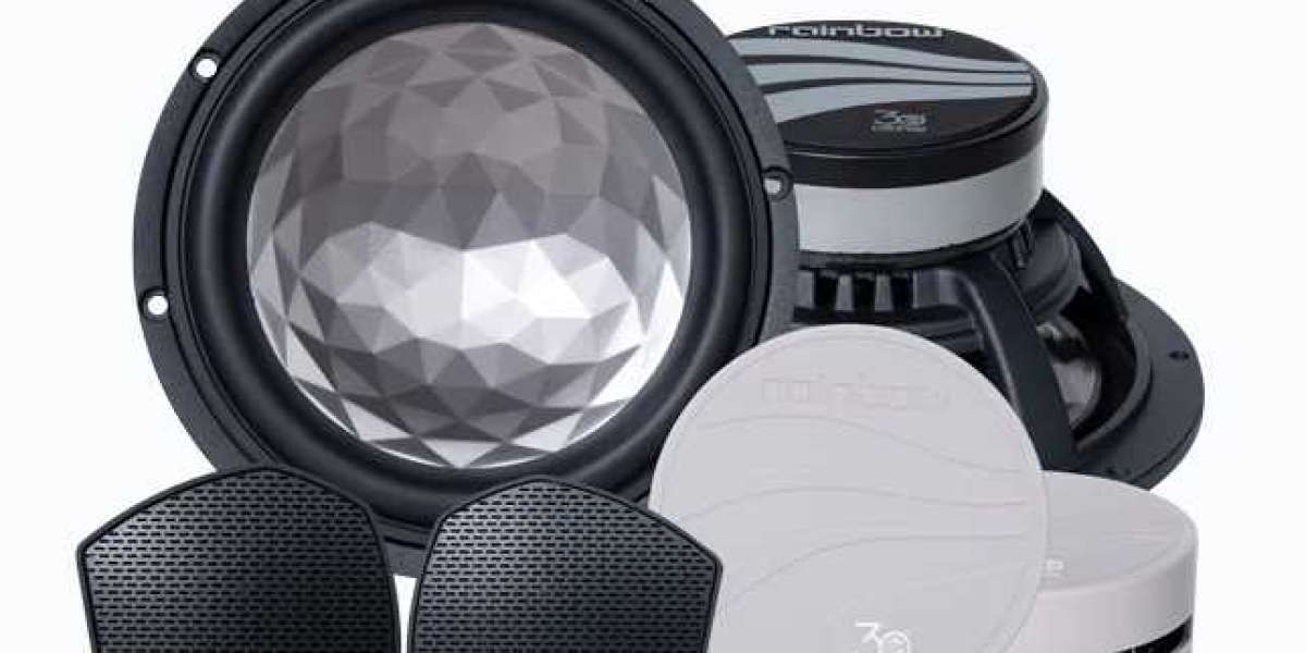 Experience Premium Performance with Rainbow Woofer and Tesla Model 3 Rainbow