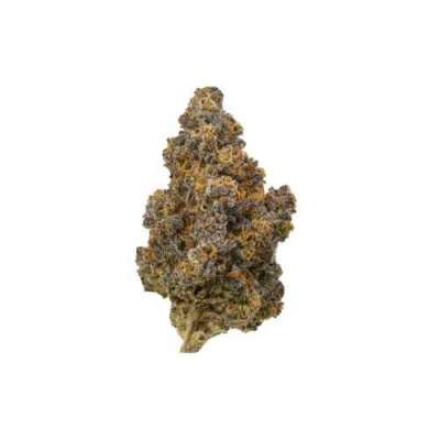 Pablo’s Revenge THCa Flower Profile Picture