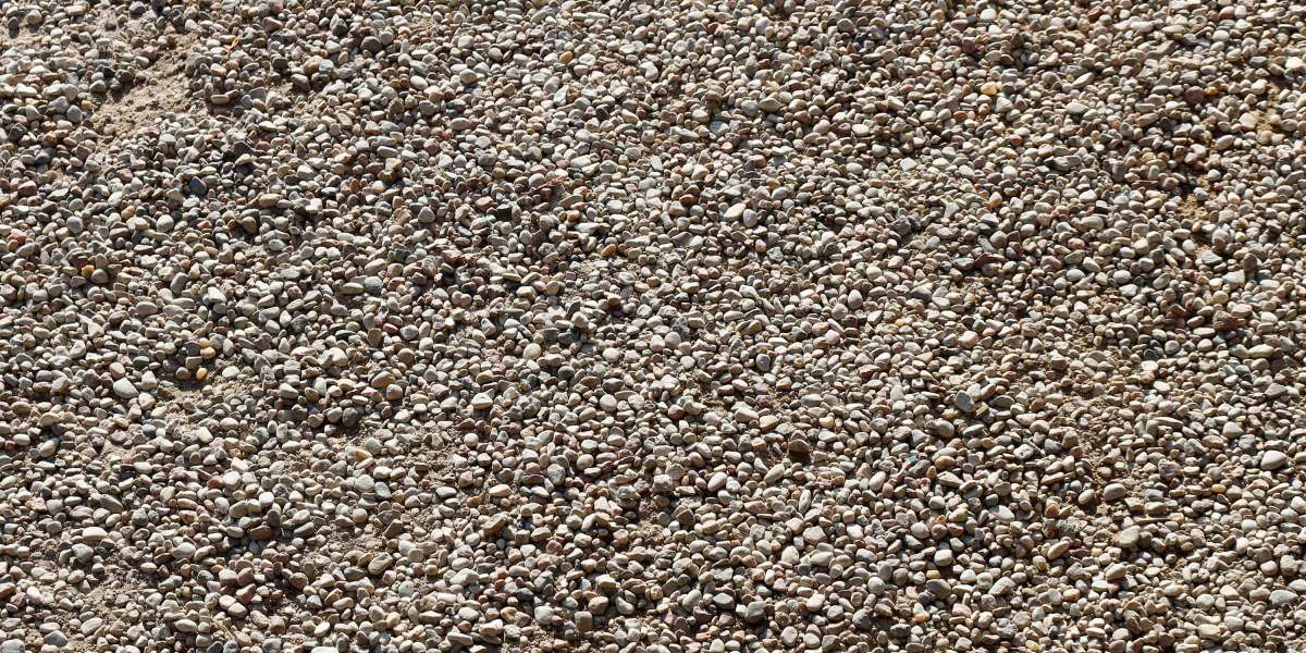 Modafinil: The Quest for Cognitive Enhancement within The U.S. Market